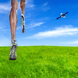 Programikonen: Tracking  Speed Distance …