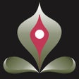 Icoon van programma: Yoga for Daily Fitness Wo…