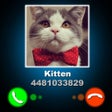 プログラムのアイコン：Fake Call Kitten Joke