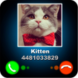 Programikonen: Fake Call Kitten Joke