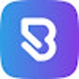 Icoon van programma: BlinkLink SDK Validator