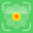 Icoon van programma: Green Care Plant