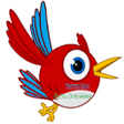程序图标：Namma Kalvi  Study Materi…