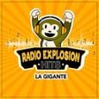 ไอคอนของโปรแกรม: Radio Explosion Hits - FM