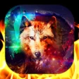 Icoon van programma: Wolf Wallpaper Live HD3D4…