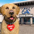 Иконка программы: Animal Shelter Pet Rescue…