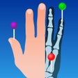 Ícone do programa: IMAIOS e-Anatomy