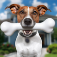Programikonen: Animal Shelter Pet Vet Re…