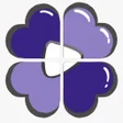 程序图标：Quina: últimos resultados