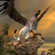 Icon of program: Clan Of Griffin