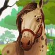 程序图标：Wild Horse Clan Animal Si…