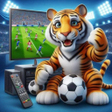 Ikon program: Live Football TV 2024