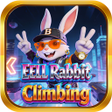 Icoon van programma: EELL Rabbit Climbing