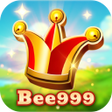 Ícone do programa: bee999ice