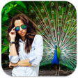 أيقونة البرنامج: Peacock Photo Frames
