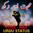 Love Sad Urdu Photo Status