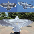 程序图标：Kite Design Ideas