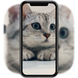 Ikon program: 3D Cute Cat Live Wallpape…