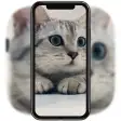 3D Cute Cat Live Wallpaper