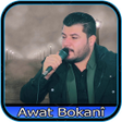 Awat Bokanî  ئاوات بۆکانی