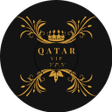 程序图标：Qatar Vip VPN