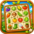 Programın simgesi: Farm Link Puzzle