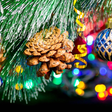 プログラムのアイコン：Macro Christmas Live Wall…