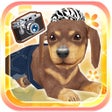Иконка программы: My Dog My Room