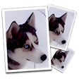 Icon of program: SmillaEnlarger
