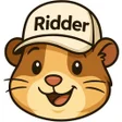 程序图标：Ridder