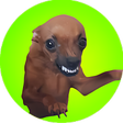 Brasil stickers memes icon