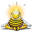 Icon of program: BeeZone