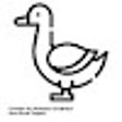 Icon of program: Show me a duck
