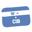 Programikonen: Payment Gateway via CIB f…