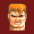 程序图标：WOLFEN 3D DOS Player