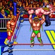WWF WrestleFest icon