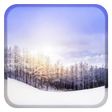 ไอคอนของโปรแกรม: Snowy Winter