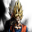 프로그램 아이콘: Dragon Ball Xenoverse 2