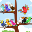 程序图标：Bird Sort: Color Bird Sor…