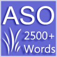プログラムのアイコン：Antonym synonym and oneWo…