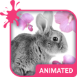 Icon of program: Cute Bunny Wallpaper Them…