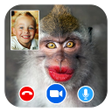 程序图标：Monkey Fake Video Call Pr…
