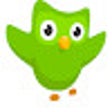 ไอคอนของโปรแกรม: Duolingo Appearance