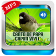 Ícone do programa: Canto De Papa-Capim vivit…
