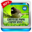 Ícone do programa: Canto De Papa-Capim vivit…