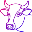 PesaBoi icon