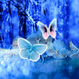 程序图标：Abstract Butterflies Wall…