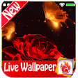 Magical Red Rose Live Wallpaper 2019 Red Rose