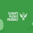 Programikonen: Amazon Climate Filter