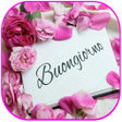 Icoon van programma: Buongiorno Con Rose GIF
